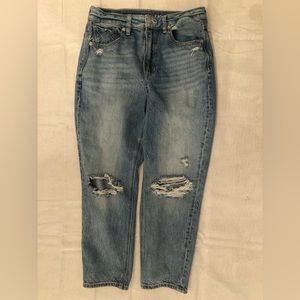 American Eagle Mom Jean (petite)